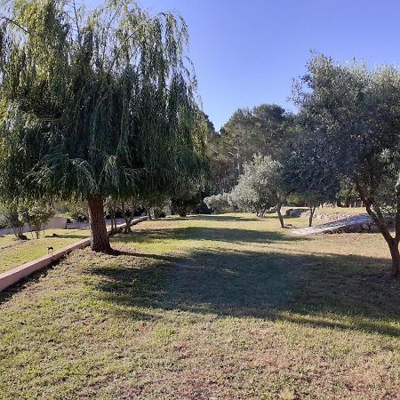 La Bastide Des Selves Bed & Breakfast Драгинян Екстериор снимка